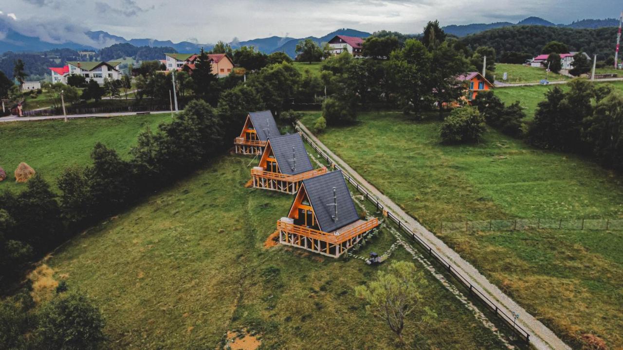 Cabana 365 Braşov Esterno foto