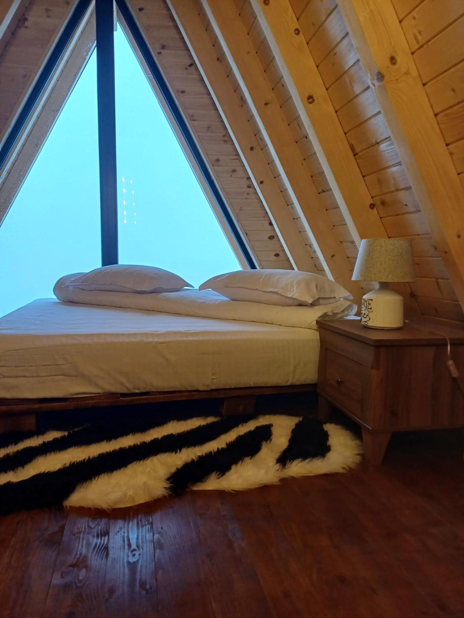 Cabana 365 Braşov Esterno foto