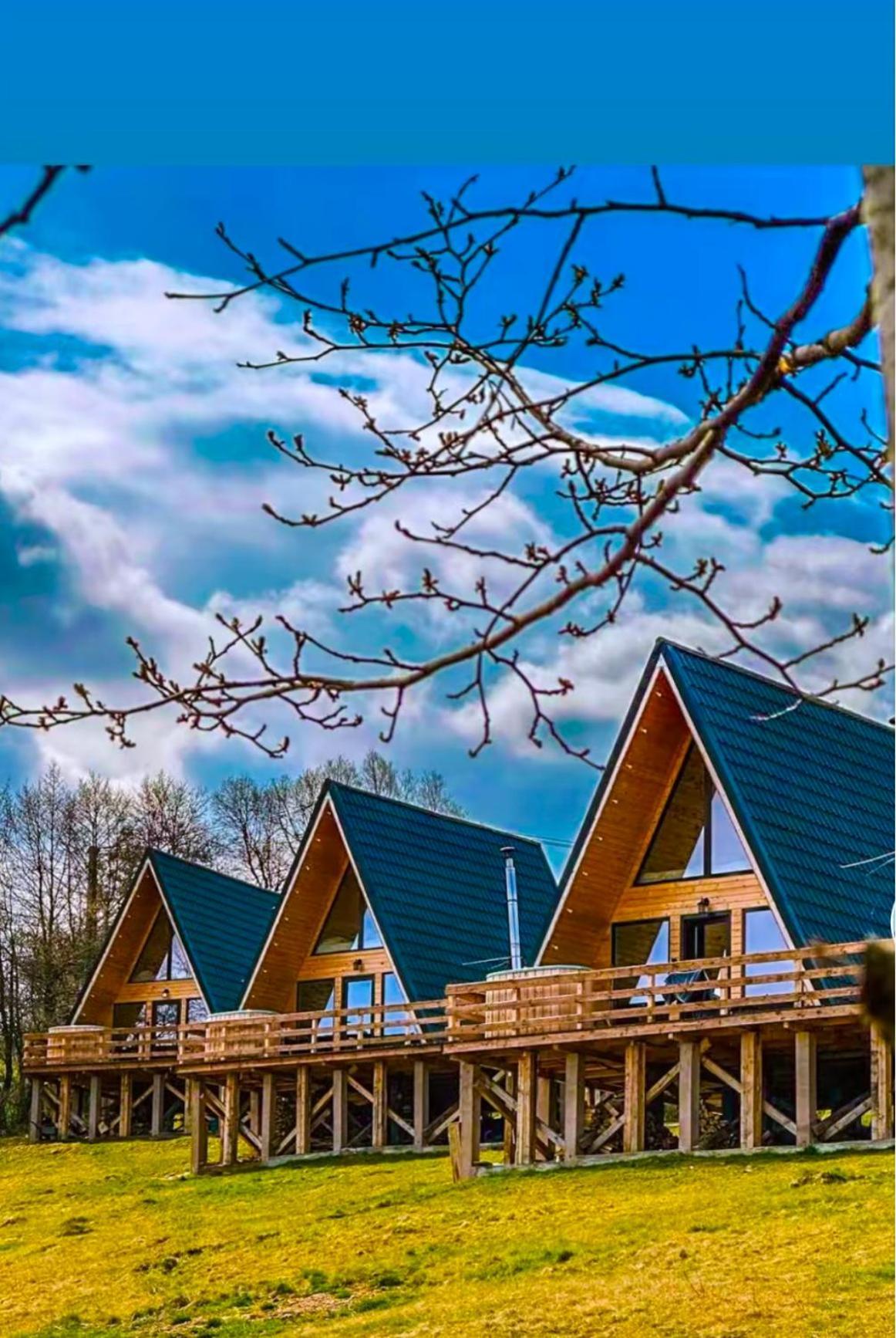 Cabana 365 Braşov Esterno foto