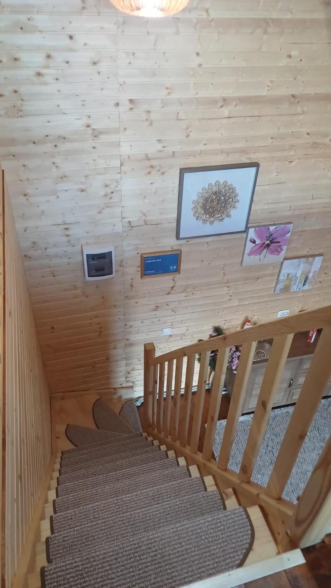Cabana 365 Braşov Esterno foto