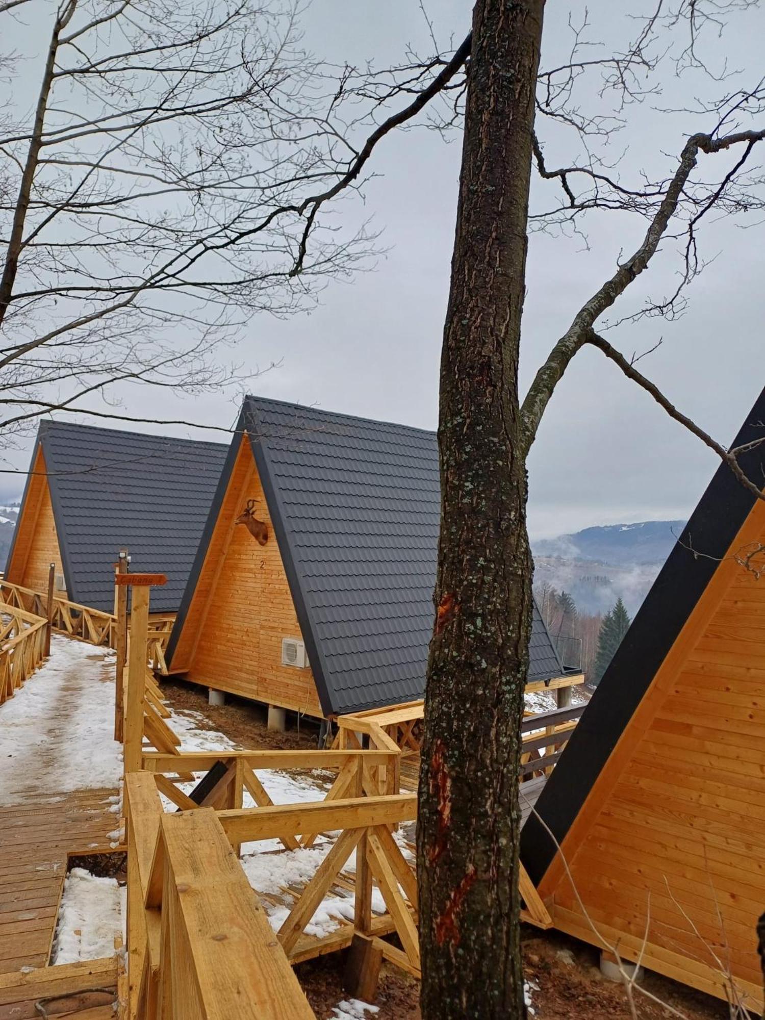 Cabana 365 Braşov Esterno foto