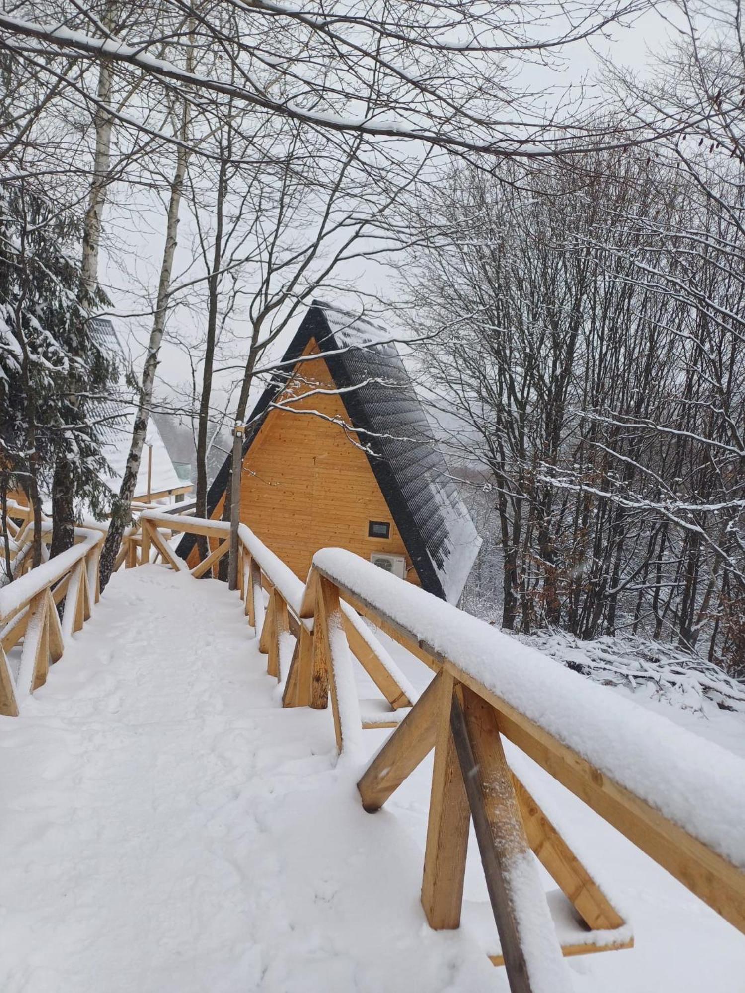 Cabana 365 Braşov Esterno foto