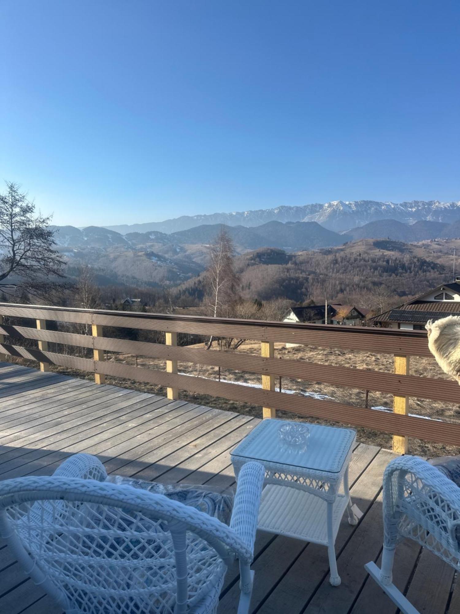 Cabana 365 Braşov Esterno foto