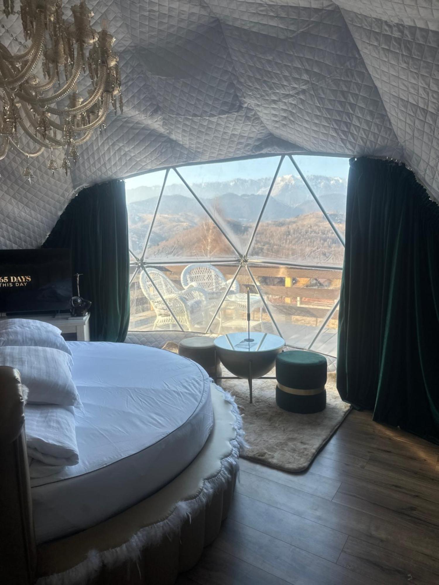Cabana 365 Braşov Esterno foto